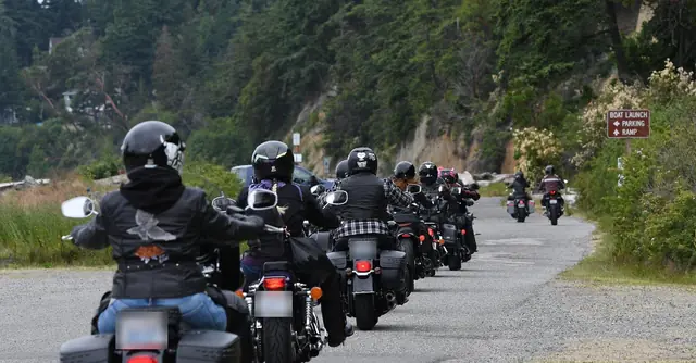 Un groupe de motards roule en file sur une route côtière bordée d'arbres