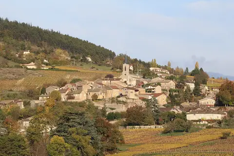 La Roche-Vineuse, sur la route ou près de la route de « De la vigne à la bouteille »