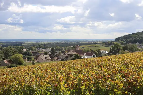 Gevrey-Chambertin, sur la route ou près de la route de « La Route des Grands Crus de Bourgogne, Dijon-Beaune »