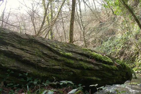 Culey-le-Patry, sur la route ou près de la route de « Route de la Suisse Normande »